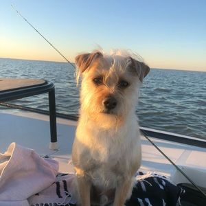 Meet your Posher, Laura